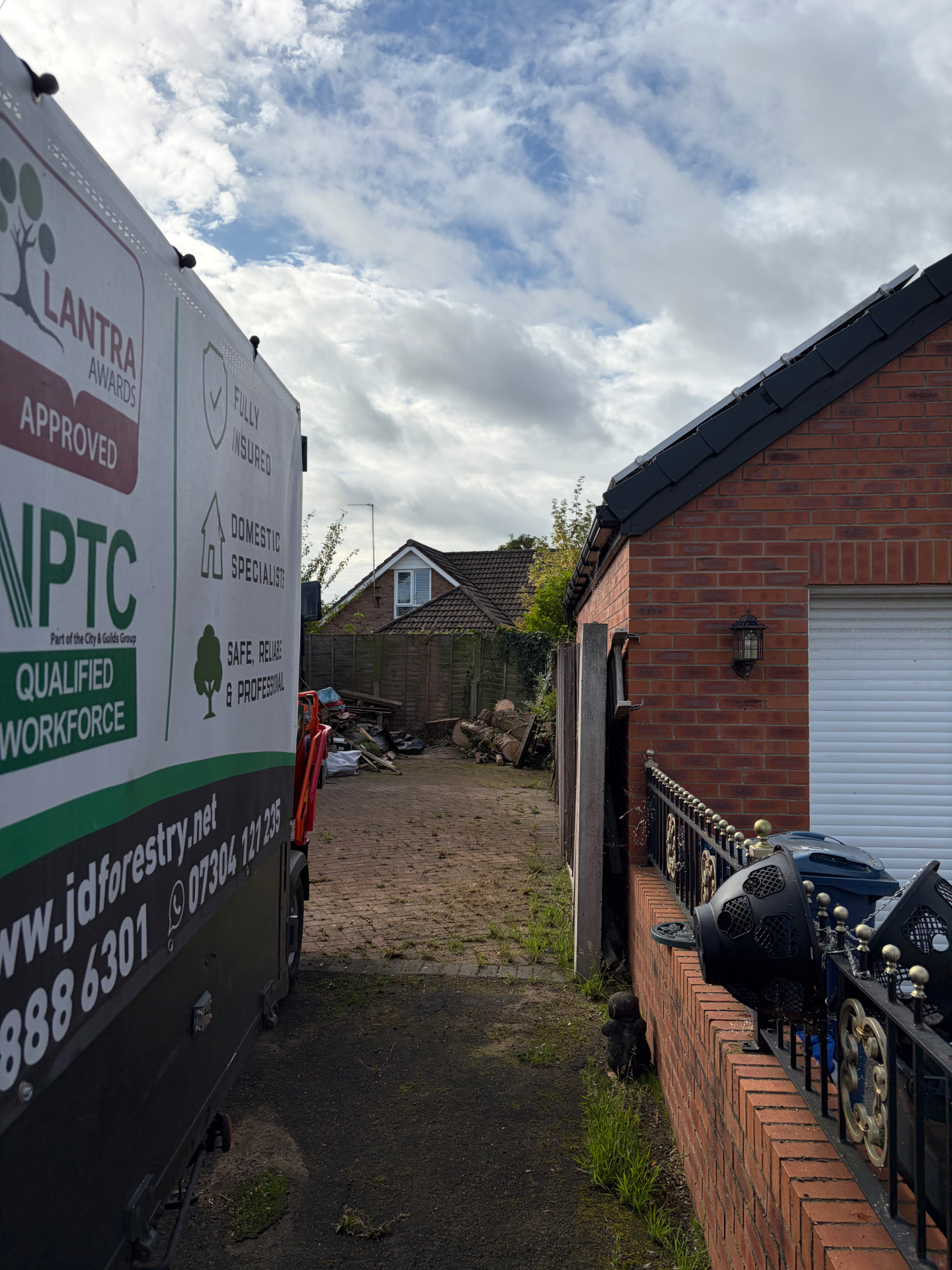 Large conifer removed from a rear garden by James David Forestry Ltd — after