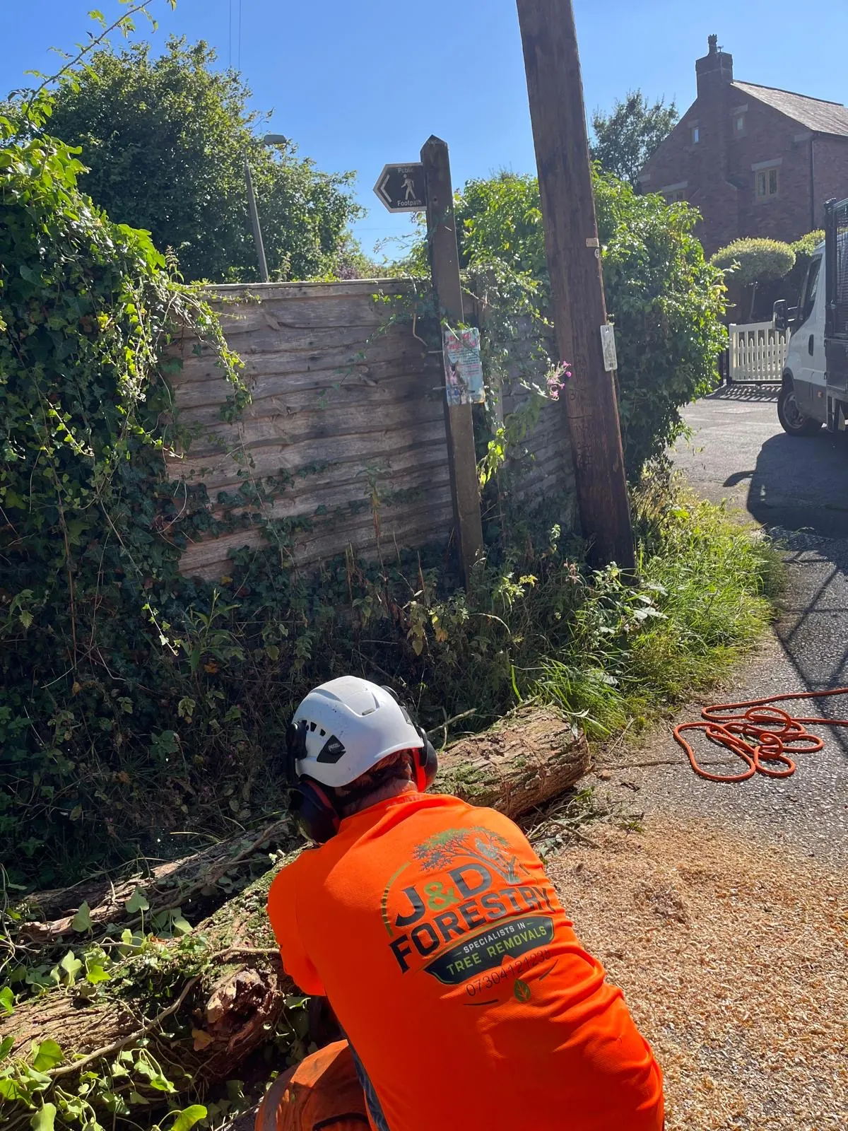 James David Forestry Ltd arborist sectioning a felled roadside tree