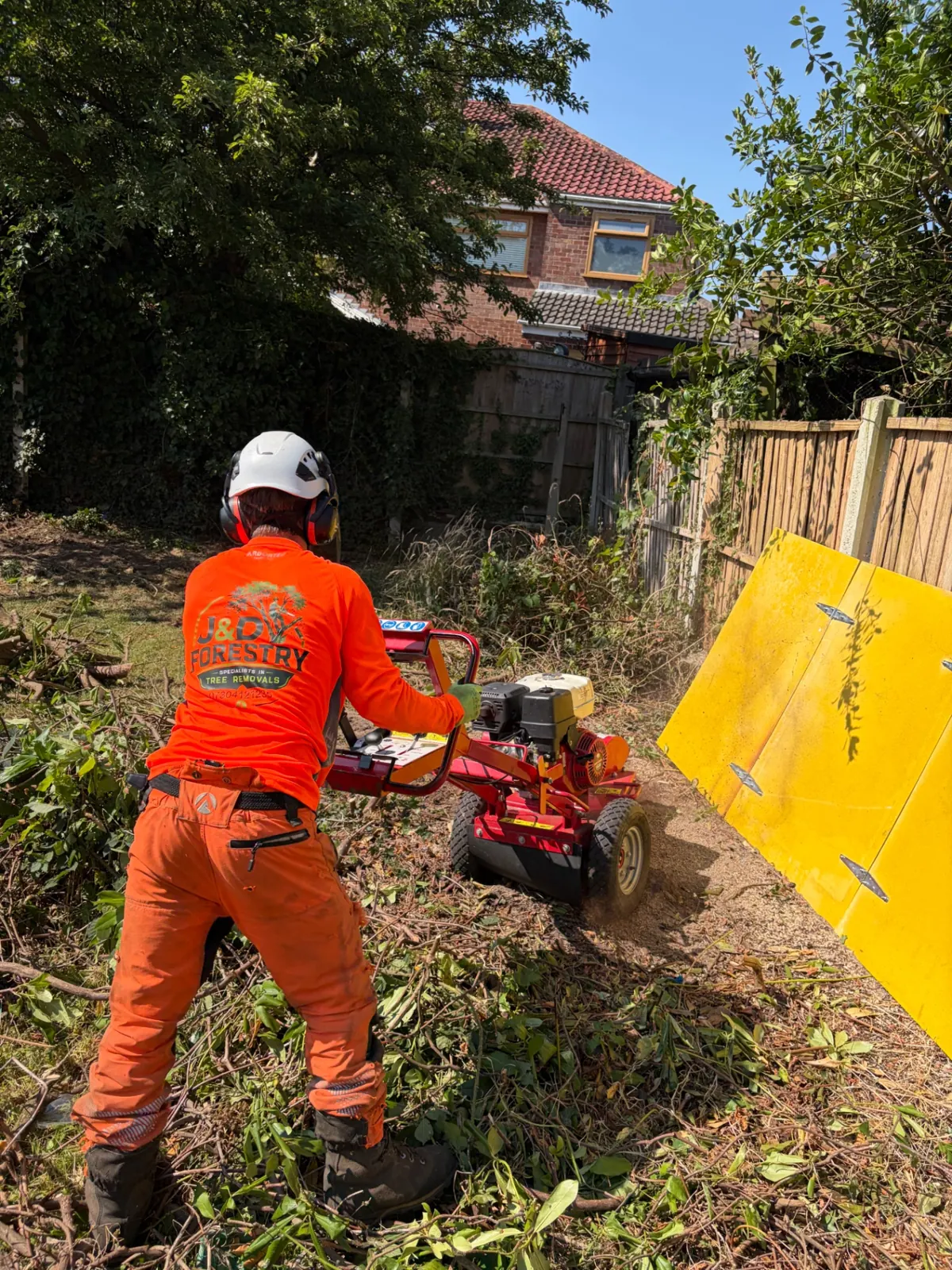 James David Forestry Ltd operator stump grinding in a residential garden