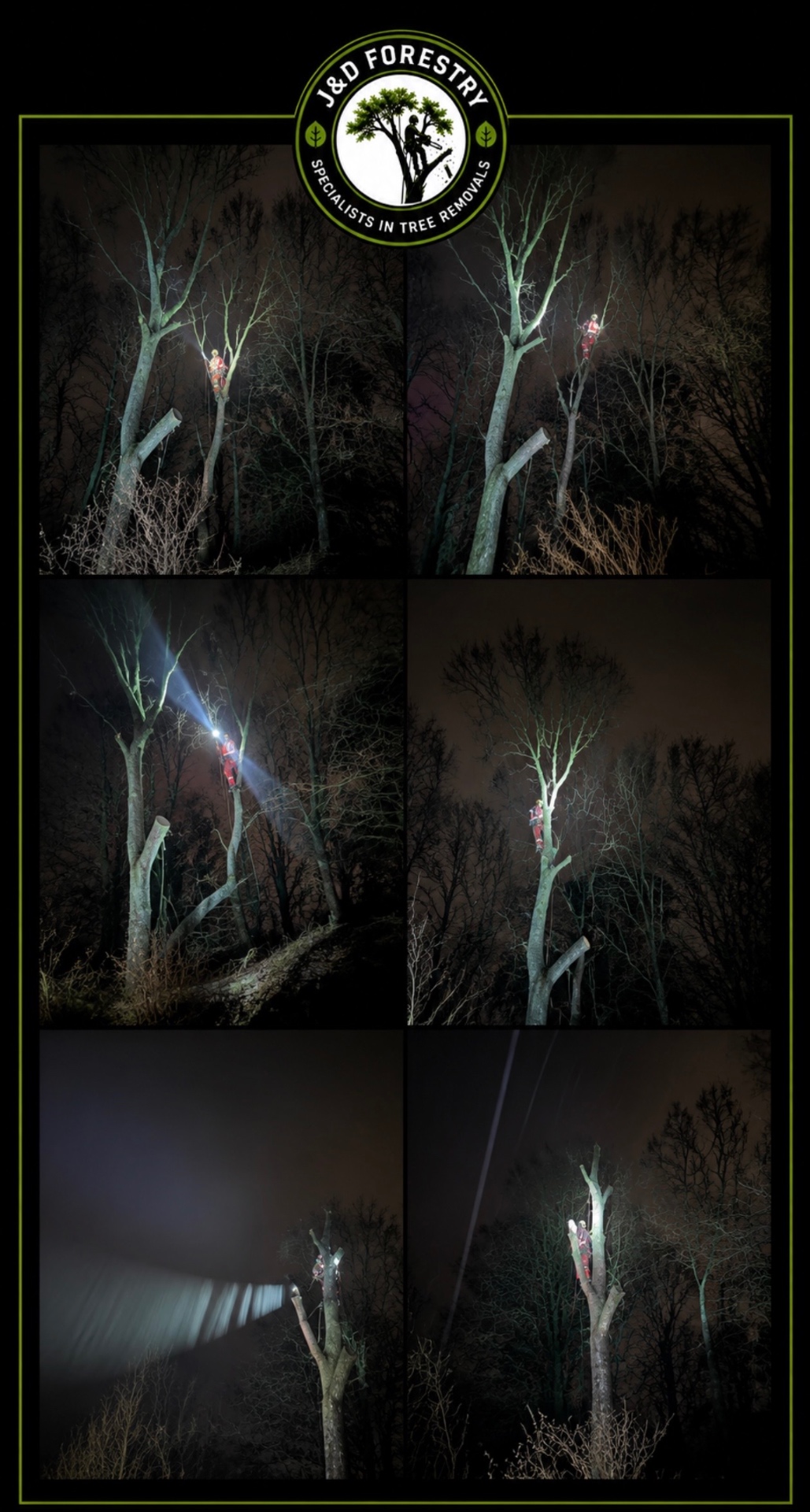 Night-time tree climbing job completed by J&D Forestry