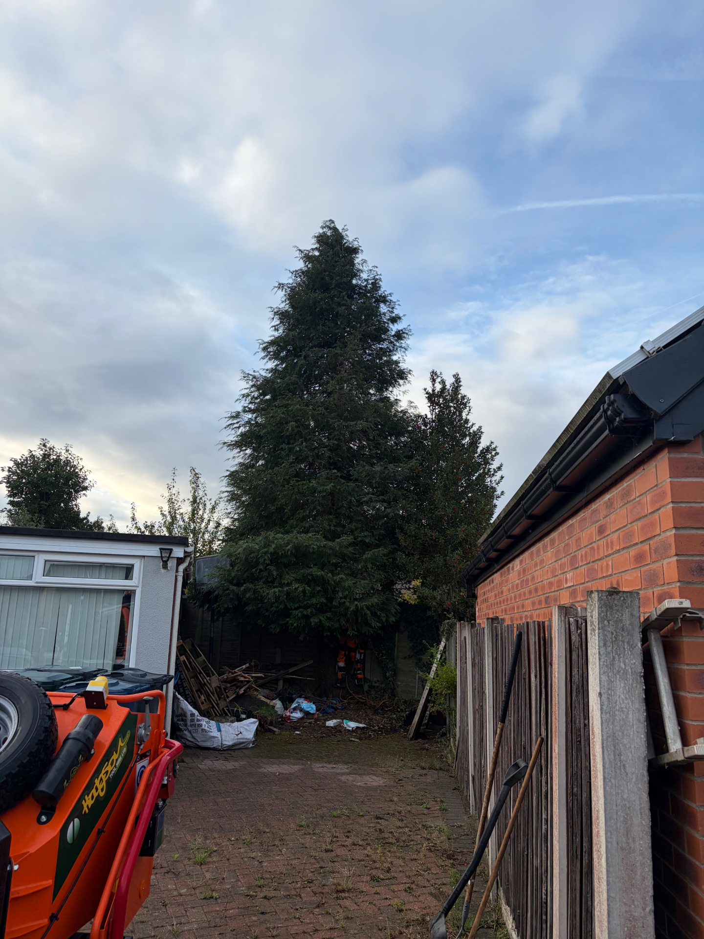 Large conifer removed from a rear garden by James David Forestry Ltd — before