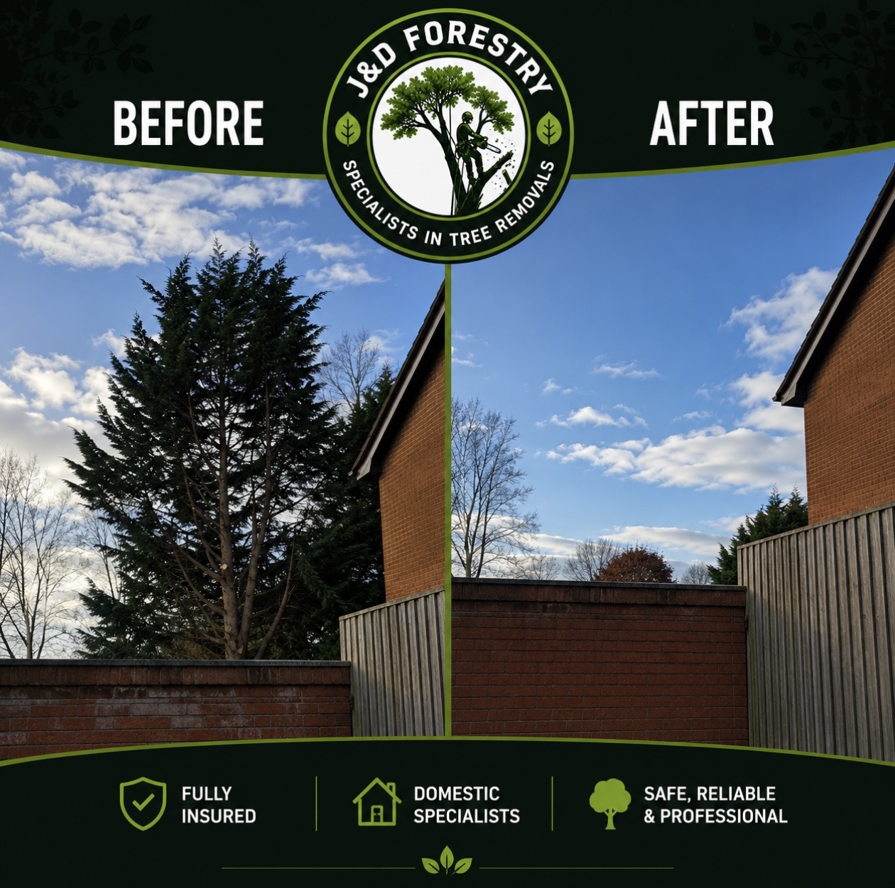 Before and after of a large conifer removed from a residential garden