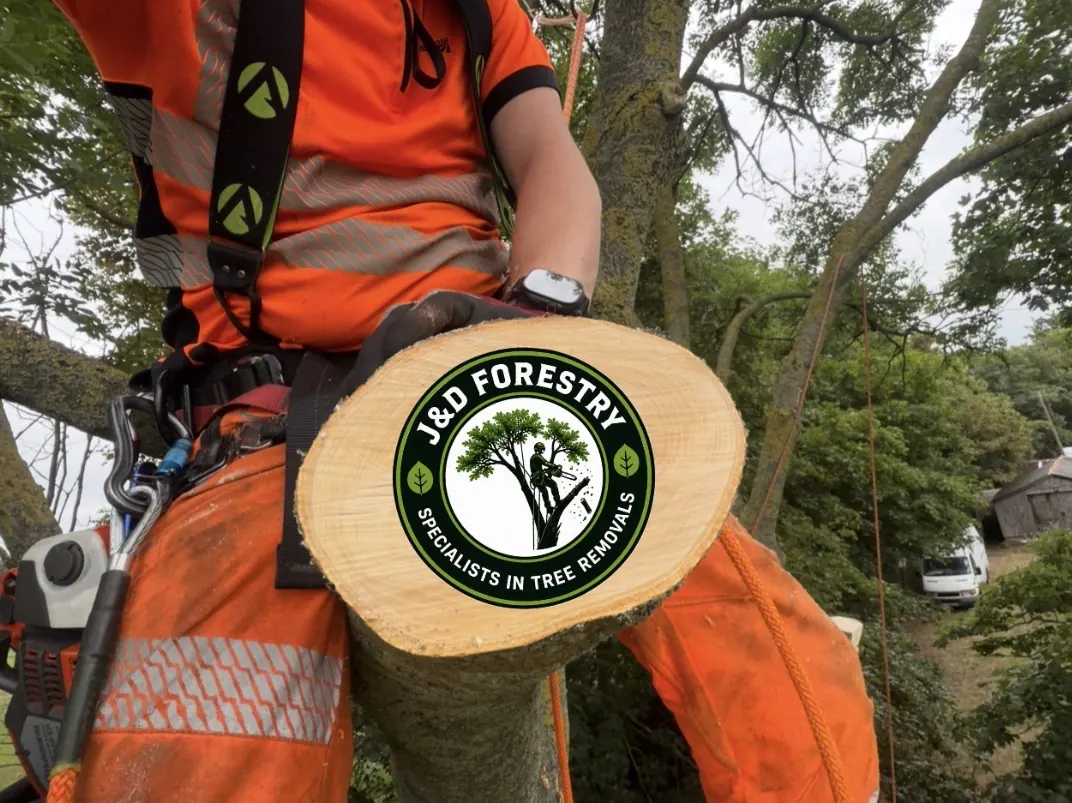 Freshly cut log round held by a James David Forestry Ltd climber in the canopy