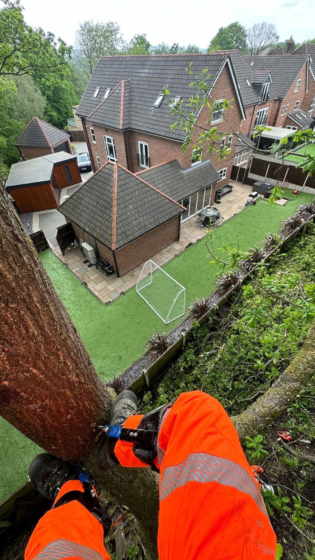 View down from the top of a tree showing climber's boots and rope work